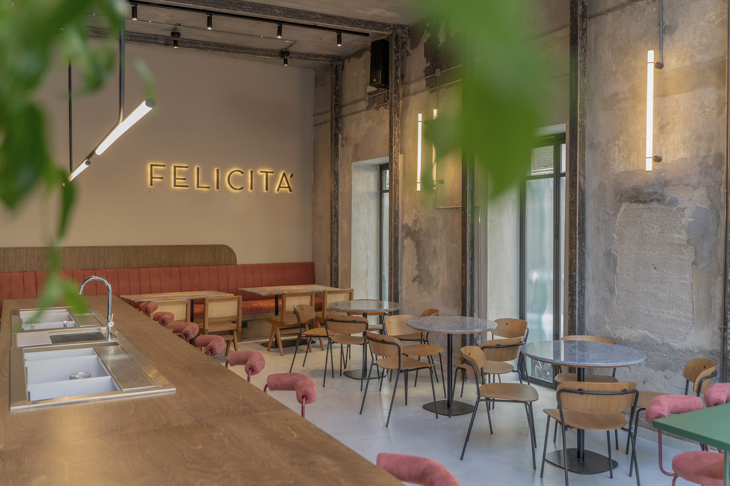 Felicita — photograph 3