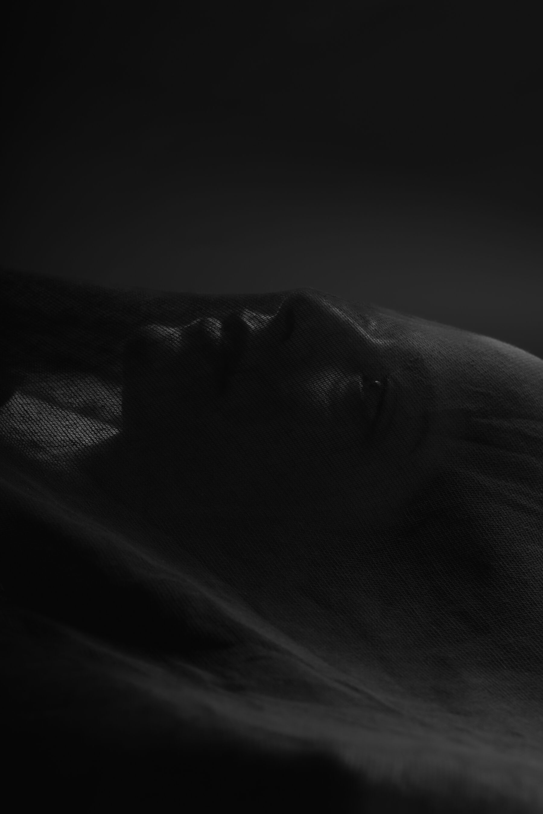 Veiled — photograph 10